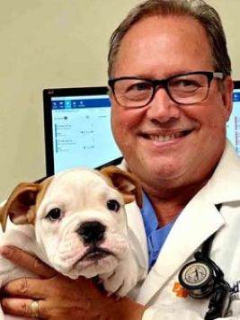 Doctor holding a puppy while smiling