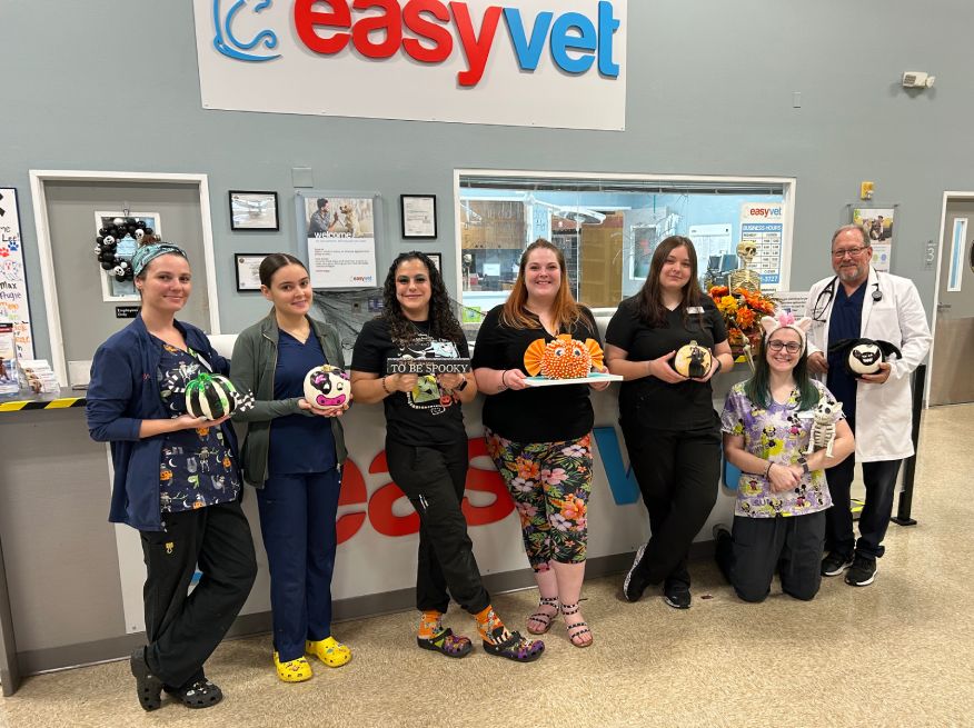 Easyvet estero team