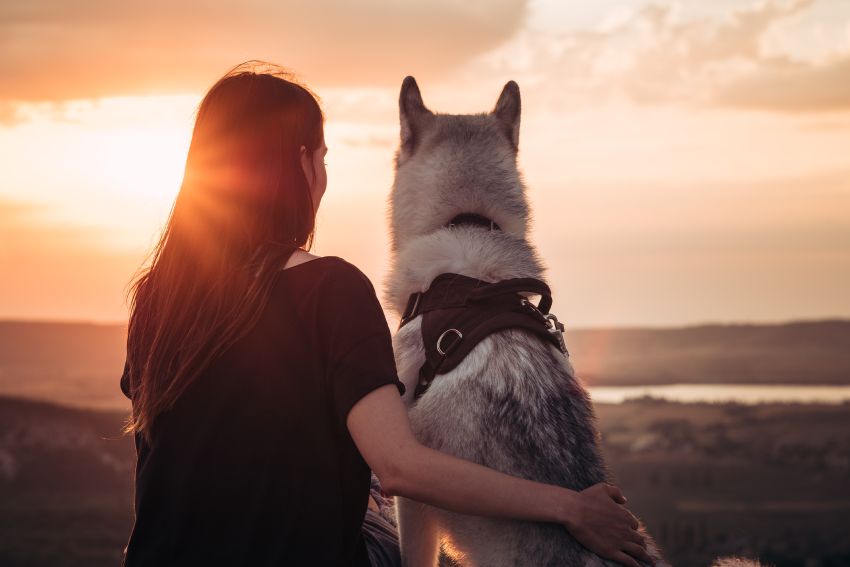 Woman and husky dog watching sunset together.